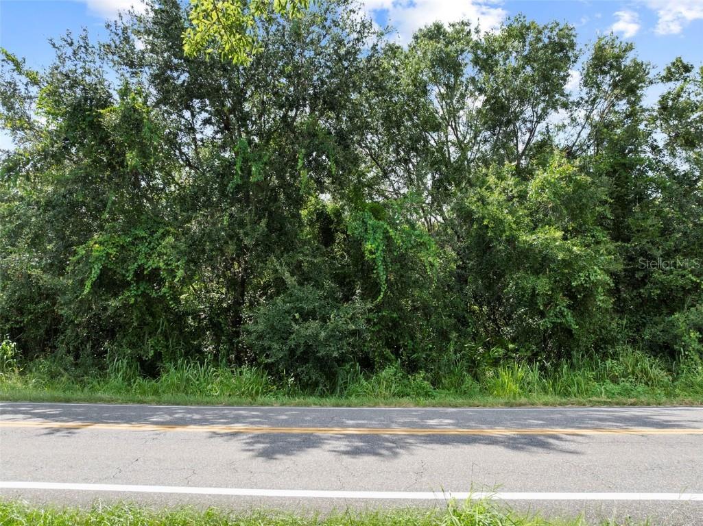 0 Helena Road Winter Haven FL 33884 - LAKE ELOISE P4935948 image25
