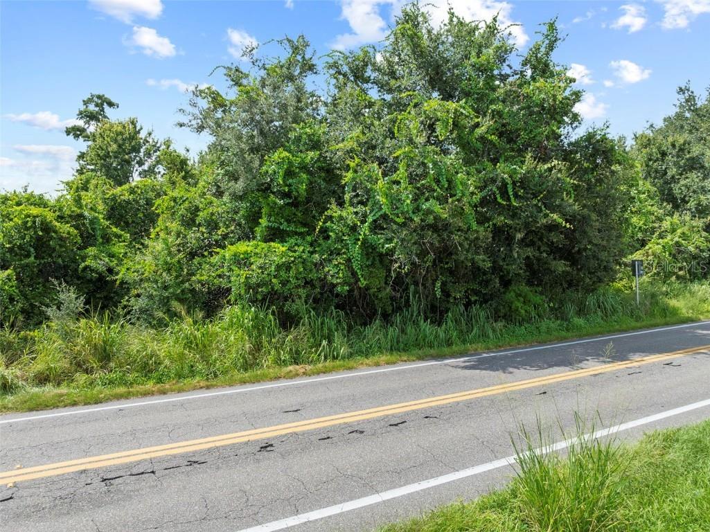 0 Helena Road Winter Haven FL 33884 - LAKE ELOISE P4935948 image26