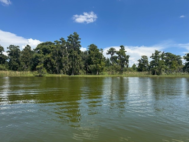 0 Helena Road Winter Haven FL 33884 - LAKE ELOISE P4935948 image28