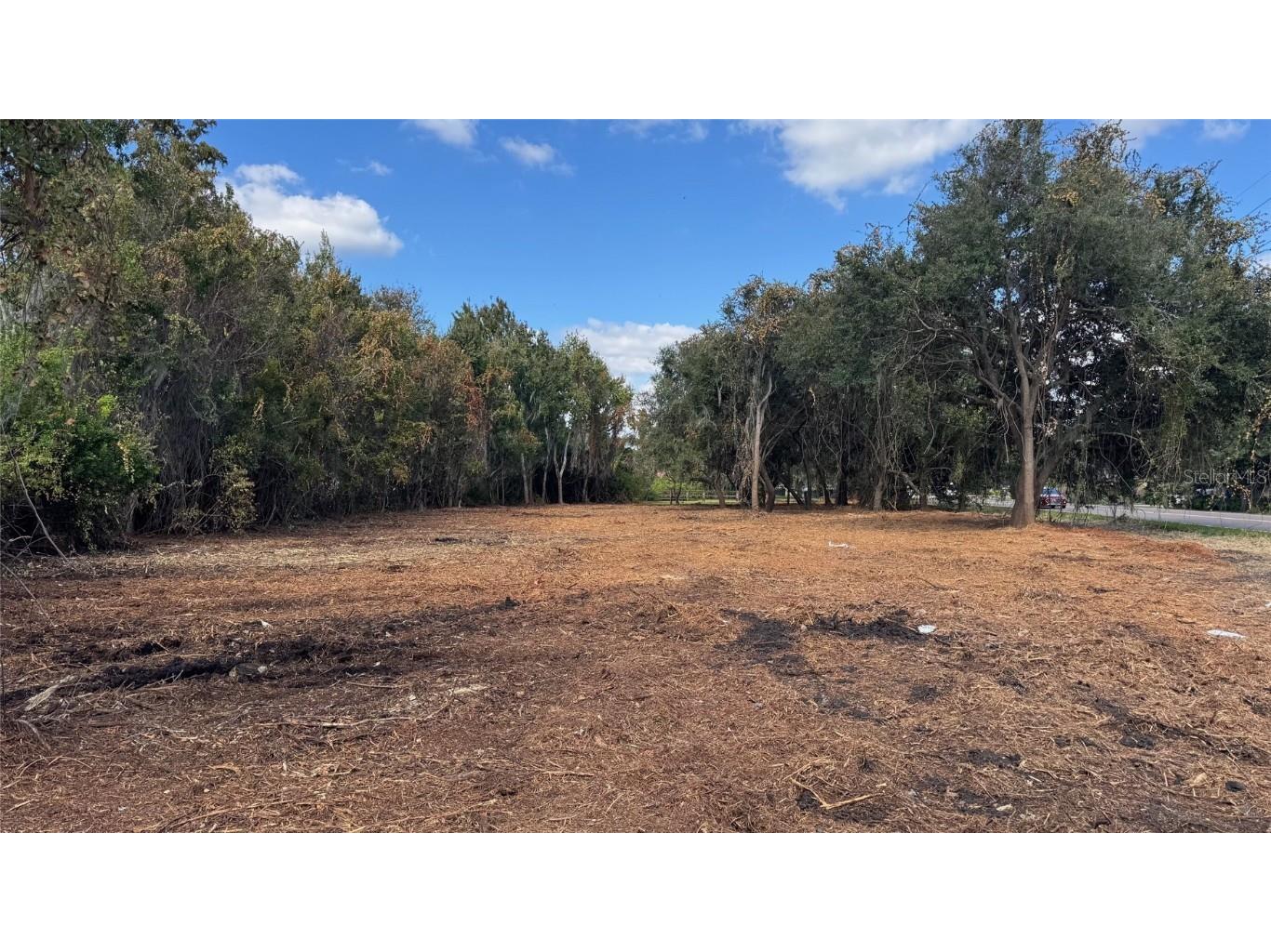 0 Helena Road Winter Haven FL 33884 - LAKE ELOISE P4935948 image7