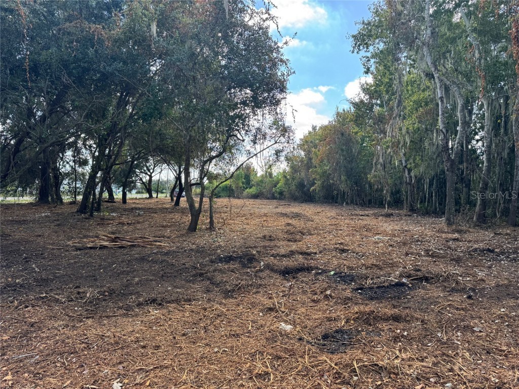 0 Helena Road Winter Haven FL 33884 - LAKE ELOISE P4935948 image8