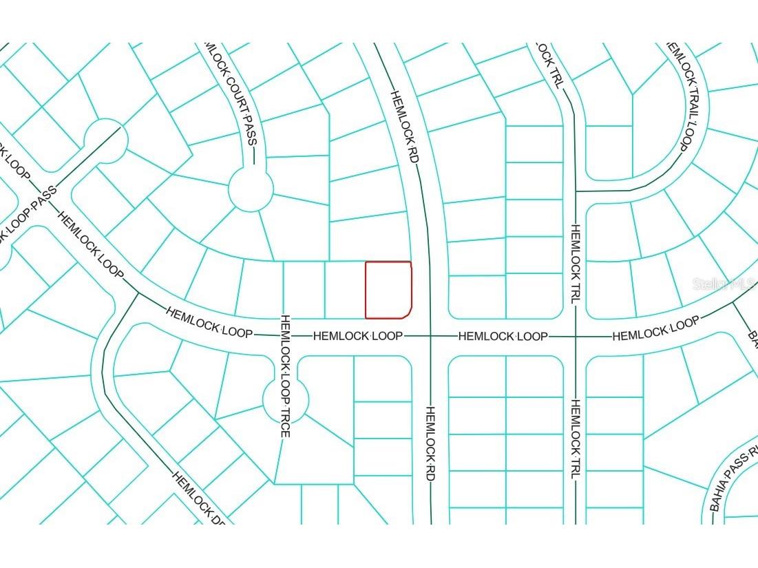 0 Hemlock Loop Ocala FL 34472 OM714517 image1
