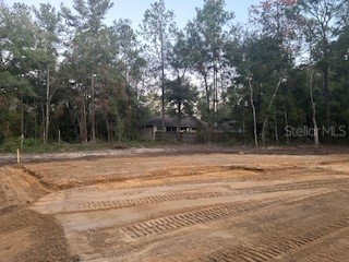 0 Hemlock Radial Pass Ocala FL 34472 OM698201 image1