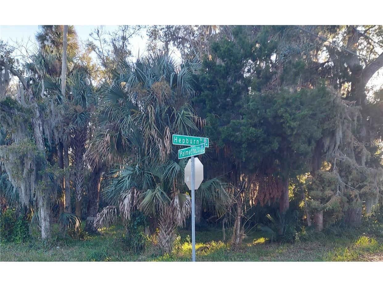 0 Hepburn Street Daytona Beach FL 32114 FC290483 image1