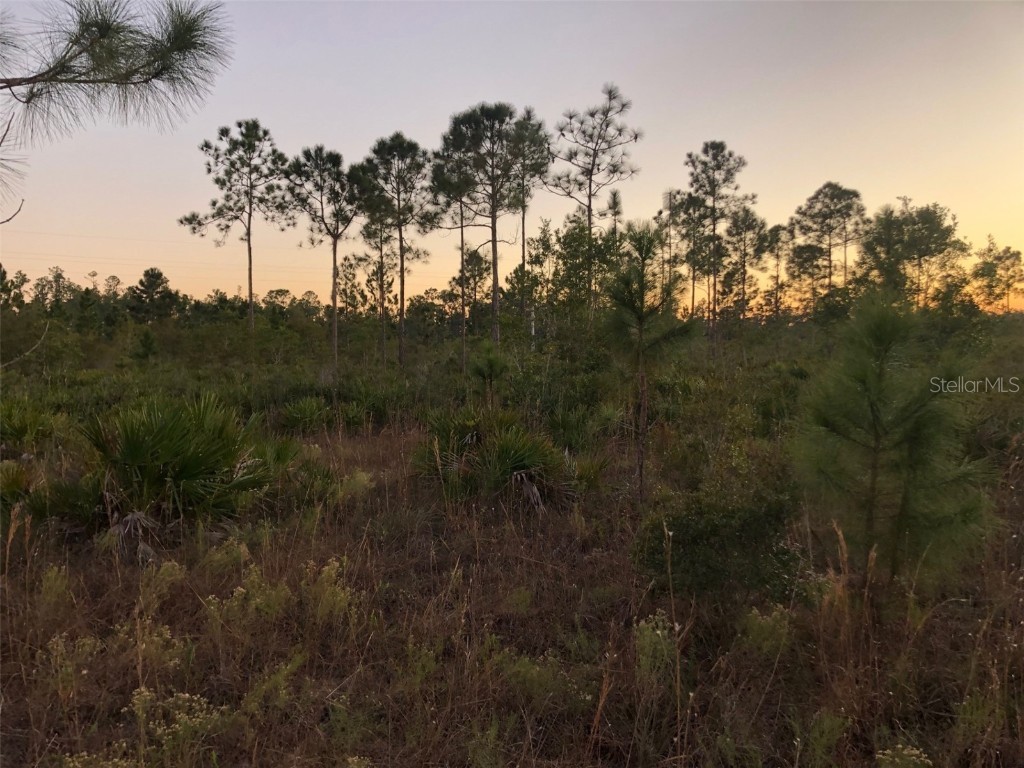 0 Heron Court Indian Lake Estates FL 33855 A4635209 image1