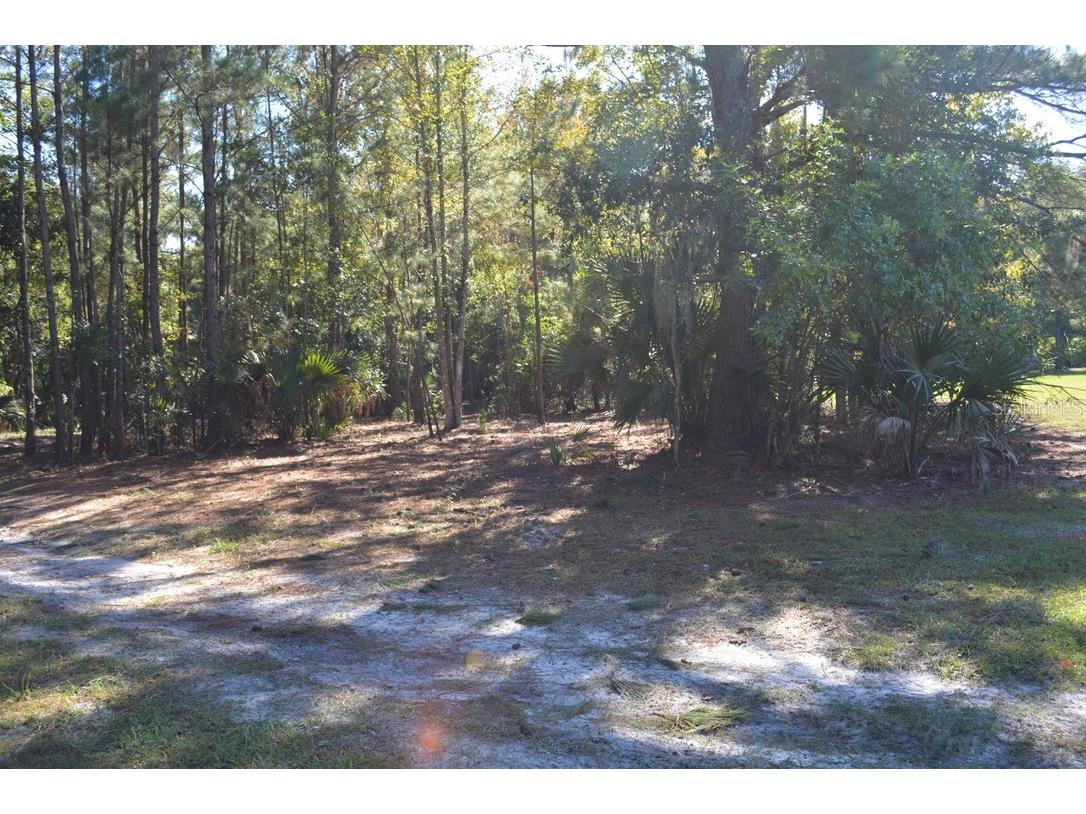 0 Hester Avenue Avenue Sanford FL 32773 O6357898 image20