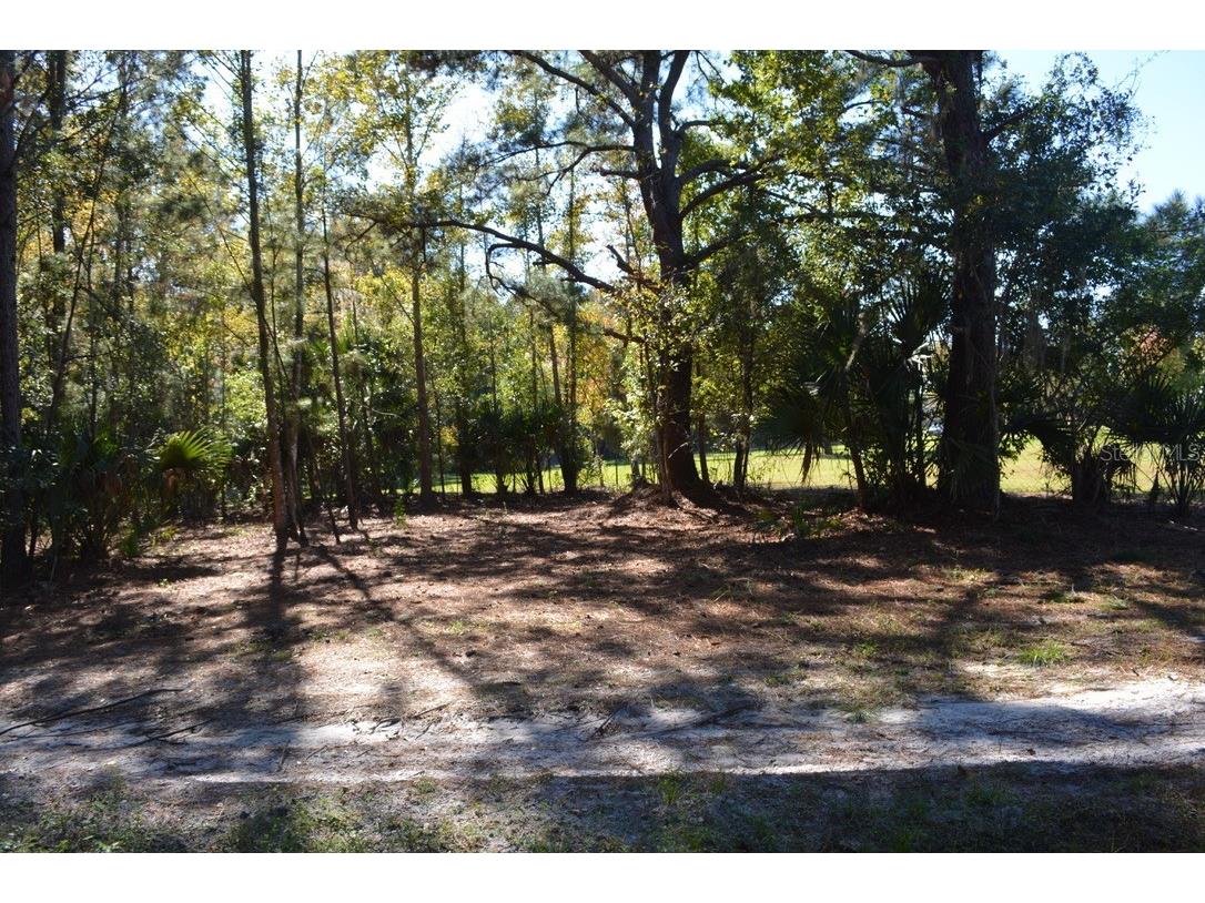 0 Hester Avenue Avenue Sanford FL 32773 O6357898 image26