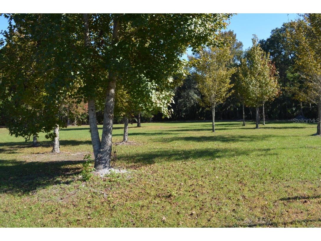 0 Hester Avenue Avenue Sanford FL 32773 O6357898 image31