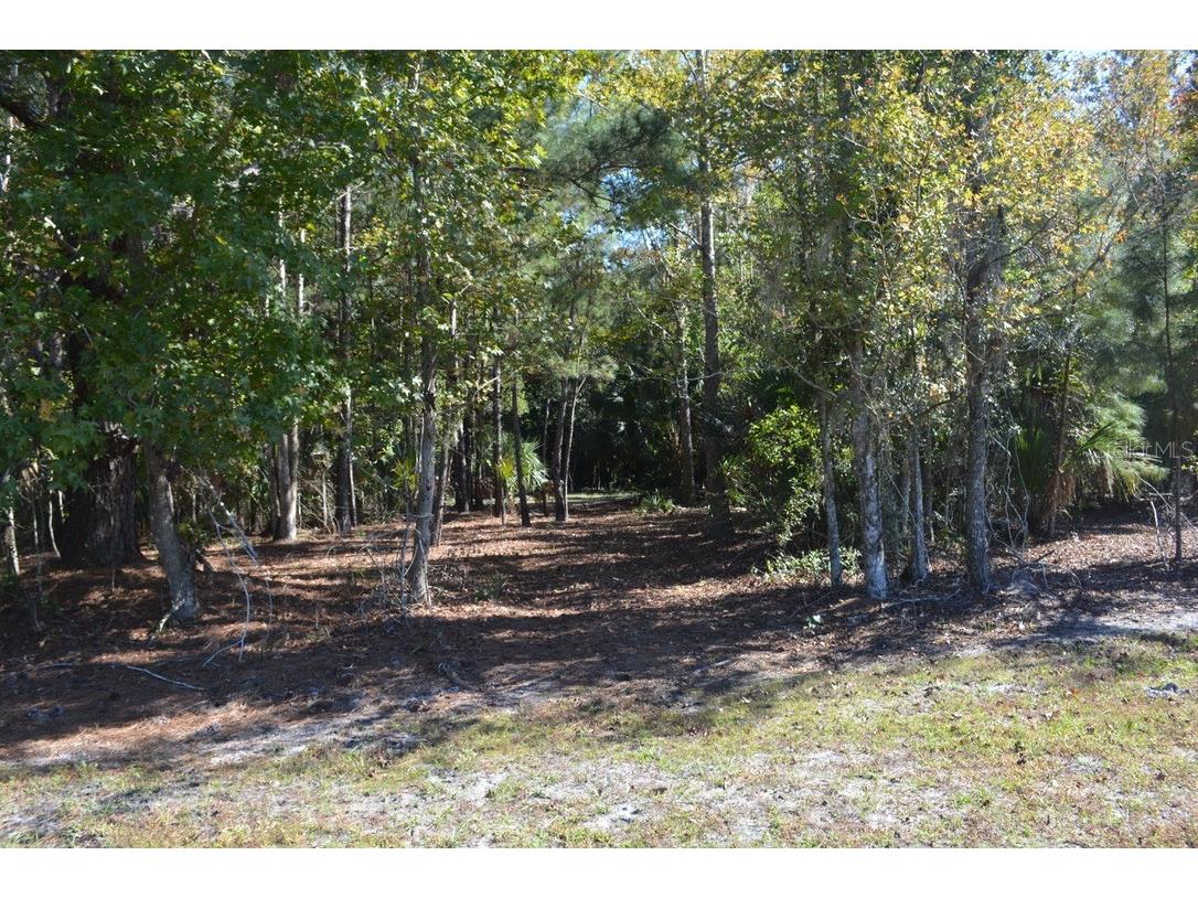 0 Hester Avenue Avenue Sanford FL 32773 O6357898 image42