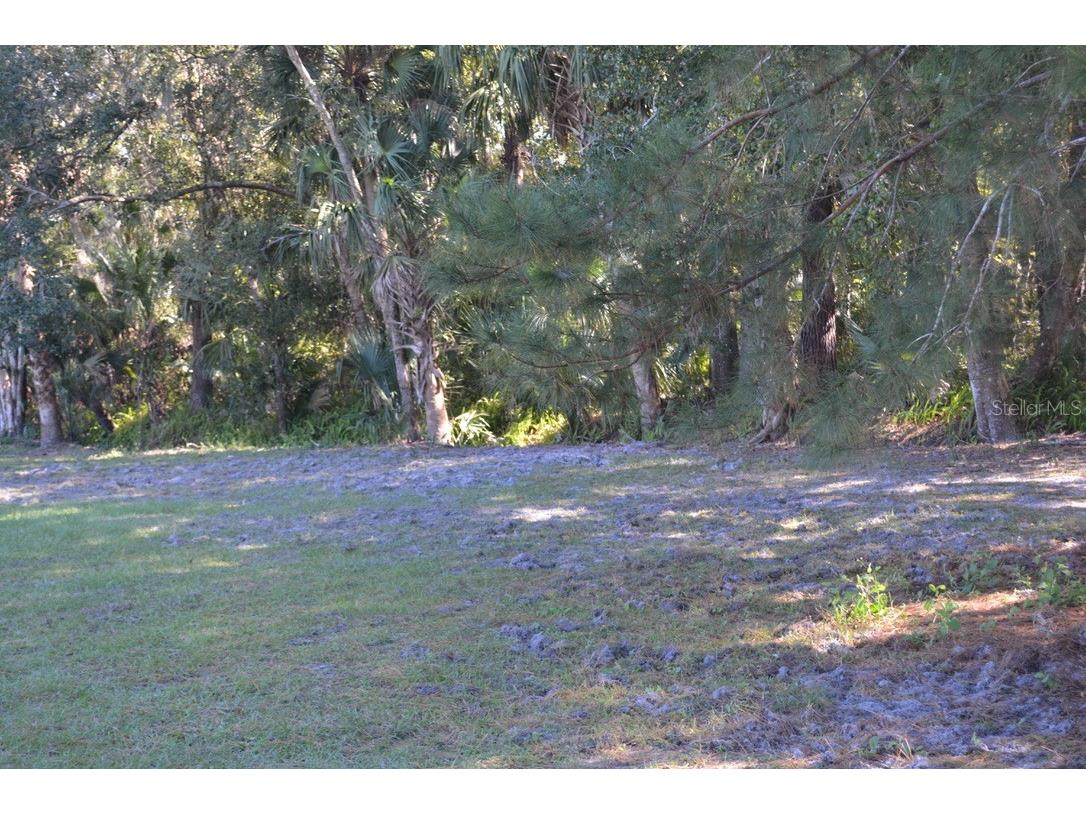 0 Hester Avenue Avenue Sanford FL 32773 O6357898 image59