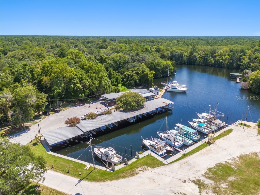 0 Hickory Avenue Yankeetown FL 34498 OM682619 image23