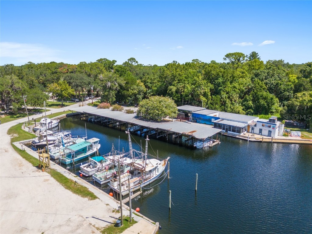 0 Hickory Avenue Yankeetown FL 34498 OM682619 image24