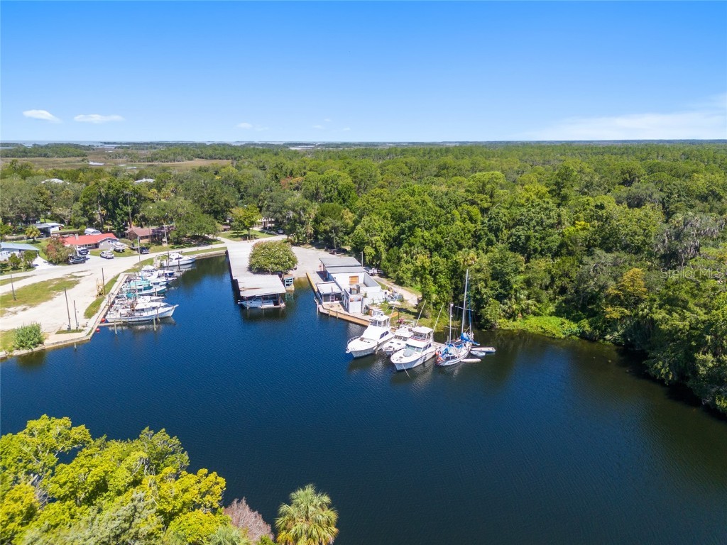 0 Hickory Avenue Yankeetown FL 34498 OM682619 image25