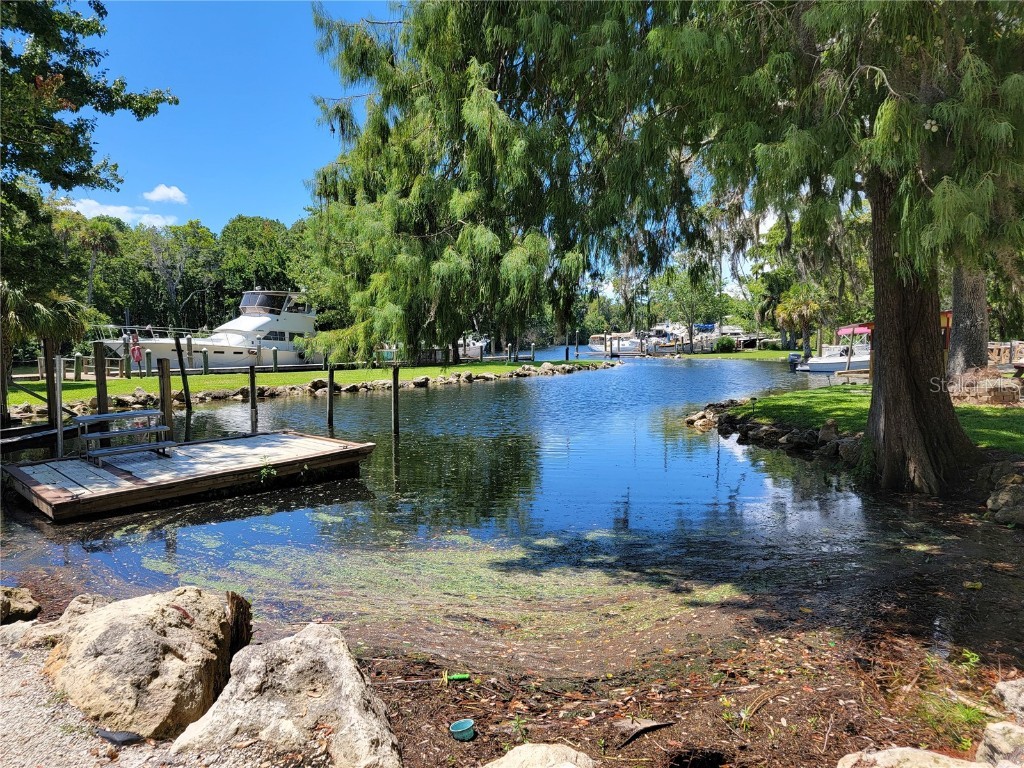 0 Hickory Avenue Yankeetown FL 34498 OM682619 image39