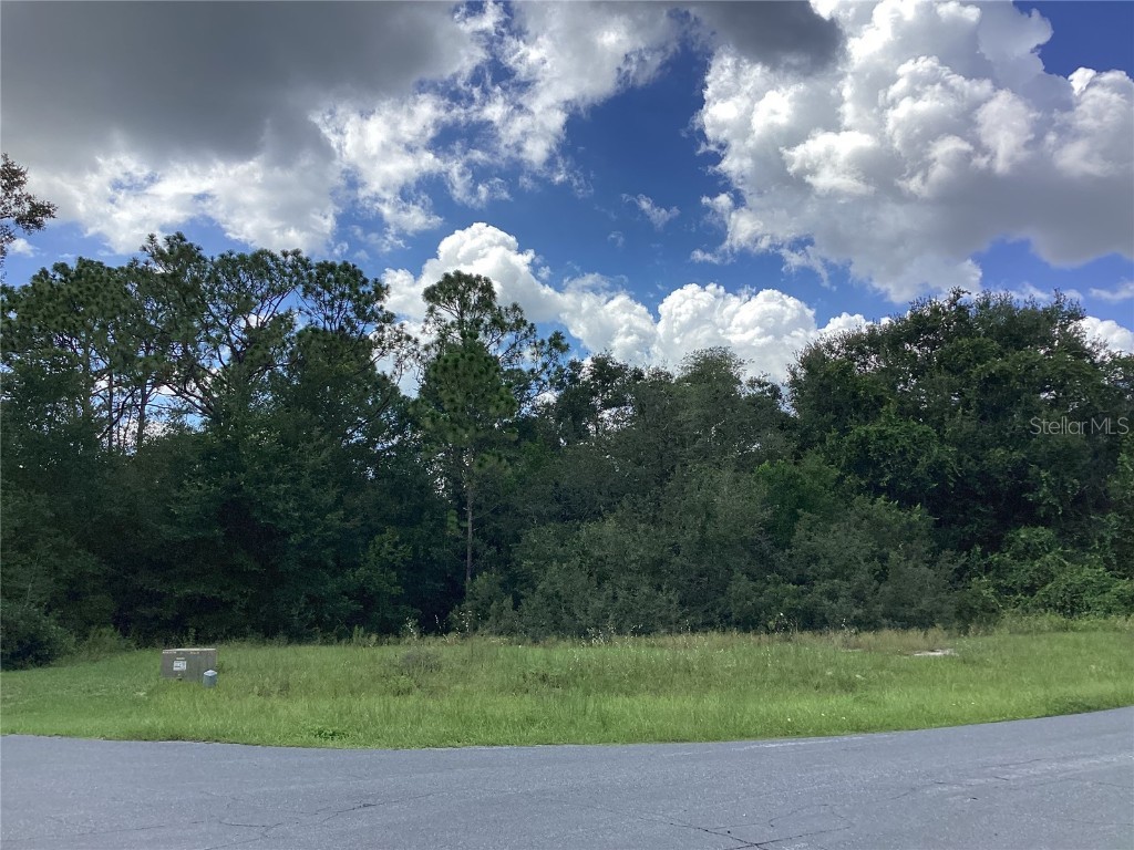 0 Hickory Ridge Drive Fruitland Park FL 34731 G5101089 image2