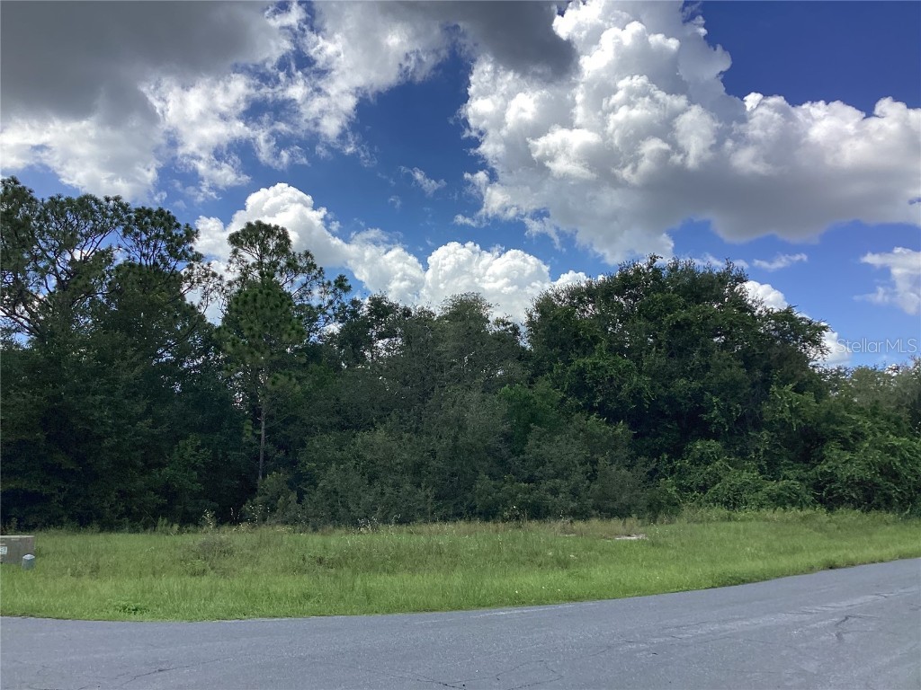0 Hickory Ridge Drive Fruitland Park FL 34731 G5101089 image3