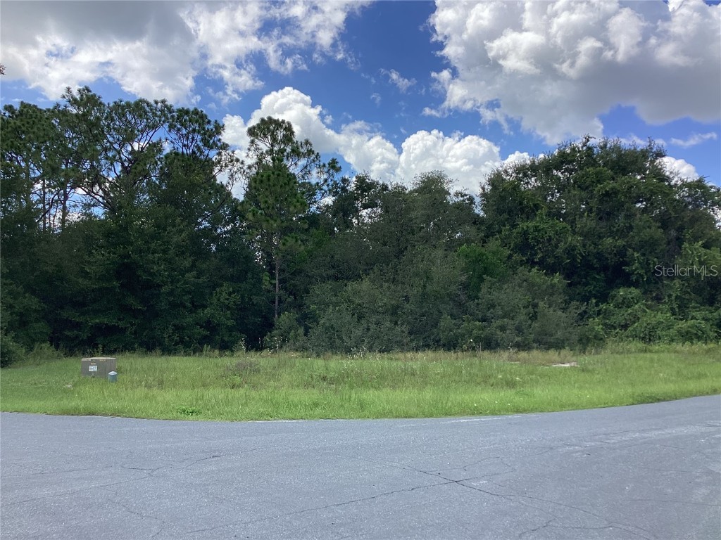 0 Hickory Ridge Drive Fruitland Park FL 34731 G5101089 image4