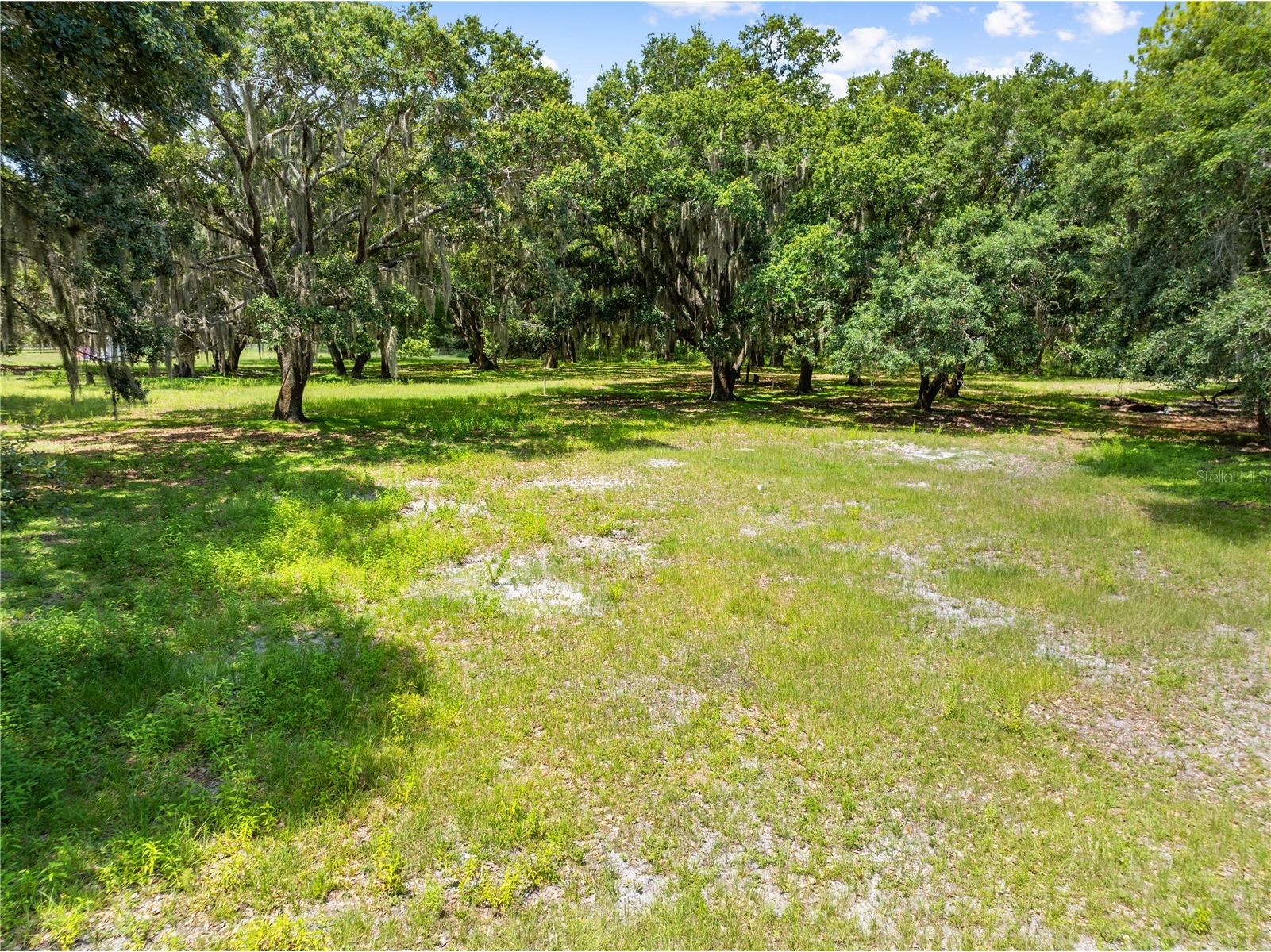 0 Hickory Tree Rd. Saint Cloud Fl #34772 Saint Cloud FL 34772 S5152801 image5