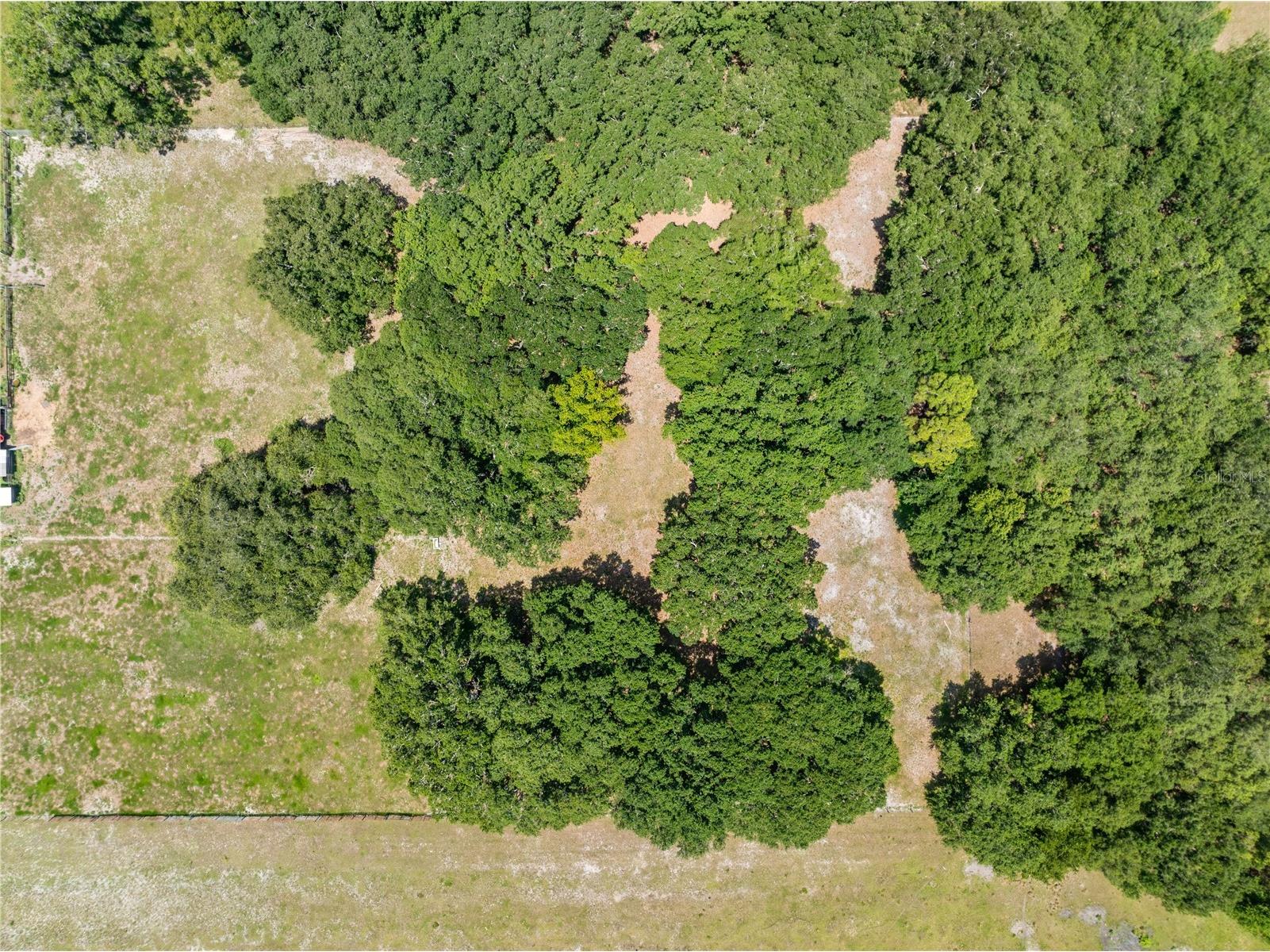 0 Hickory Tree Rd. Saint Cloud Fl #34772 Saint Cloud FL 34772 S5152801 image7