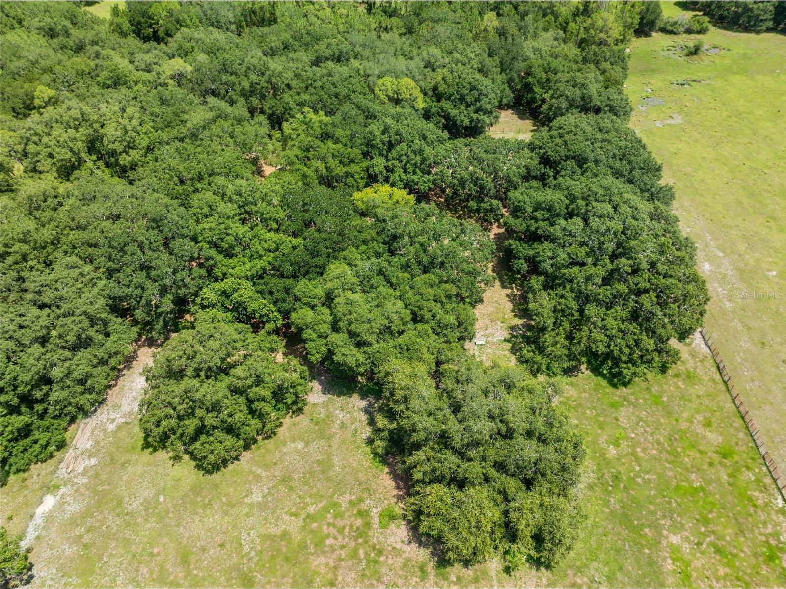 0 Hickory Tree Rd. Saint Cloud Fl #34772 Saint Cloud FL 34772 S5152801 image8