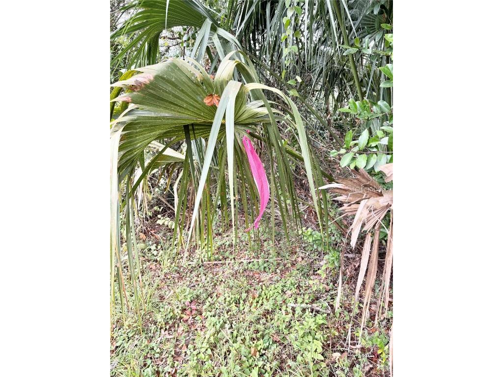 0 Hilda Rd Dade City FL 33523 TB8334007 image2