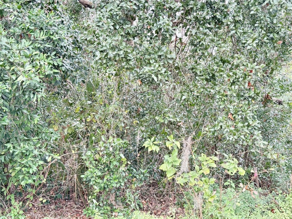 0 Hilda Rd Dade City FL 33523 TB8334007 image3