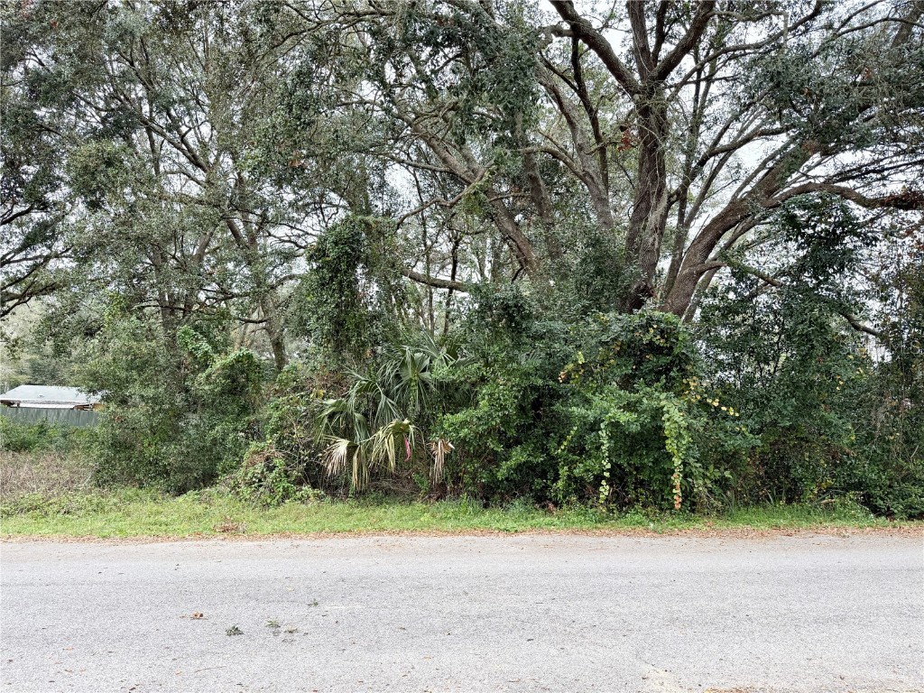 0 Hilda Rd Dade City FL 33523 TB8334007 image4