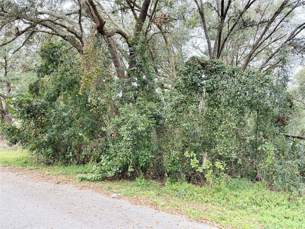 0 Hilda Rd Dade City FL 33523 TB8334007 image5