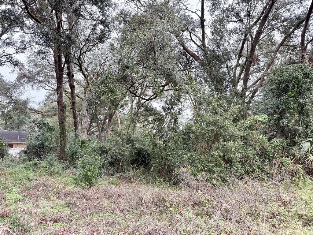 0 Hilda Rd Dade City FL 33523 TB8334007 image6