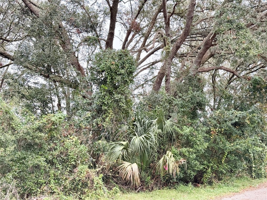 0 Hilda Rd Dade City FL 33523 TB8334007 image7