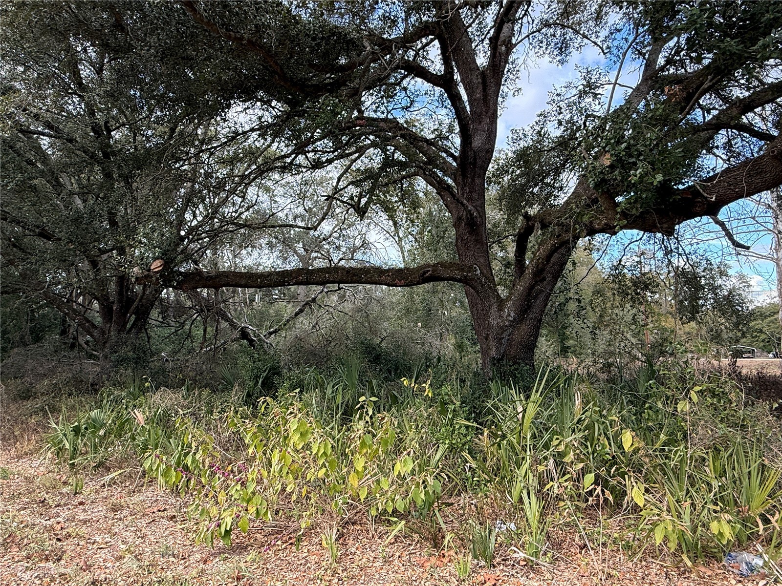 0 Hilda Rd Dade City FL 33523 TB8479212 image2