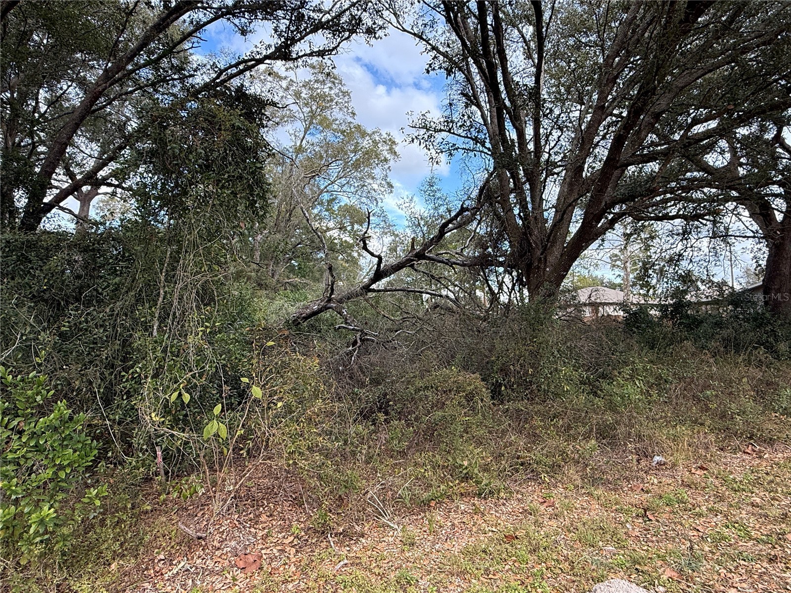 0 Hilda Rd Dade City FL 33523 TB8479212 image3