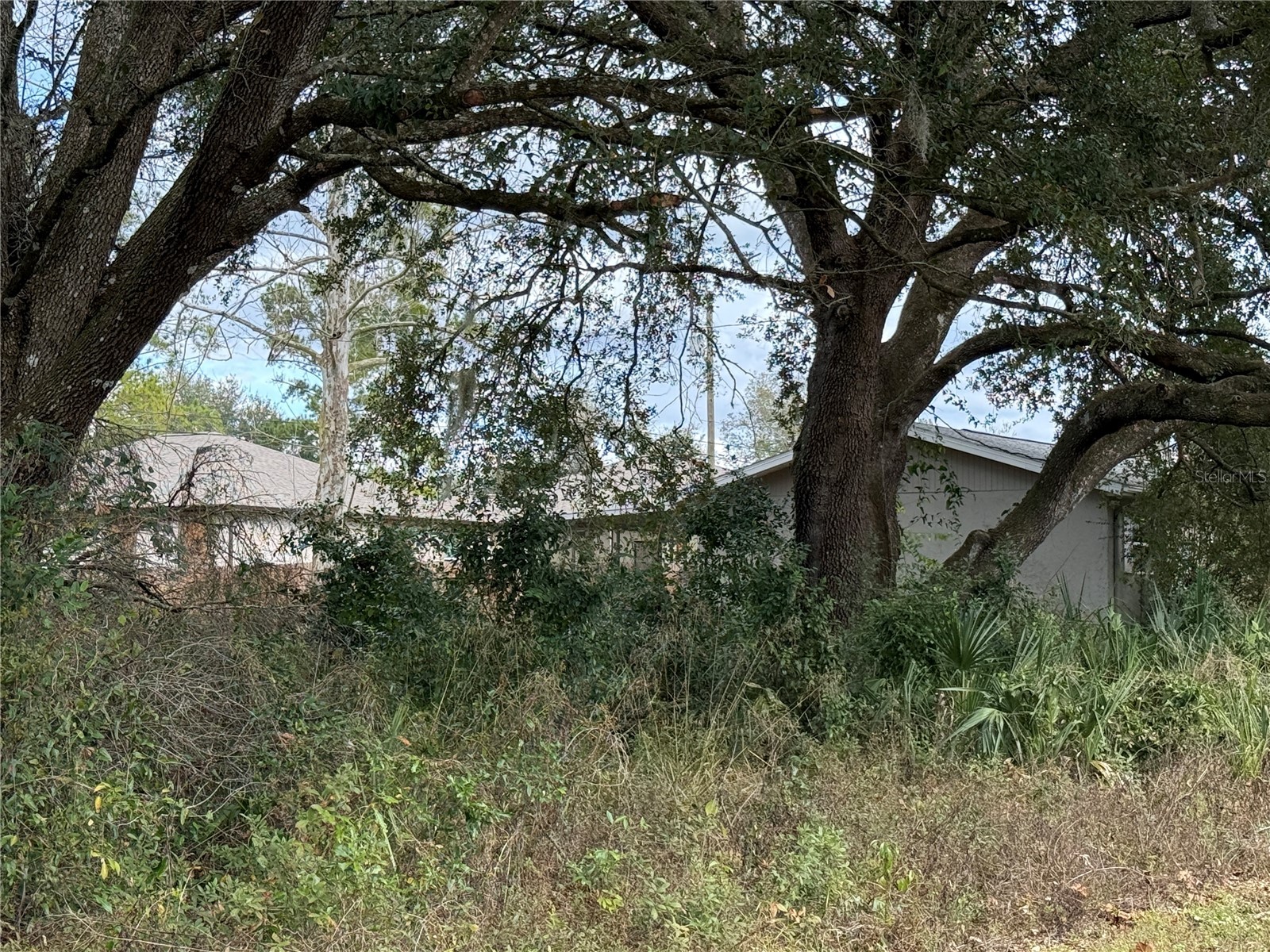 0 Hilda Rd Dade City FL 33523 TB8479212 image5