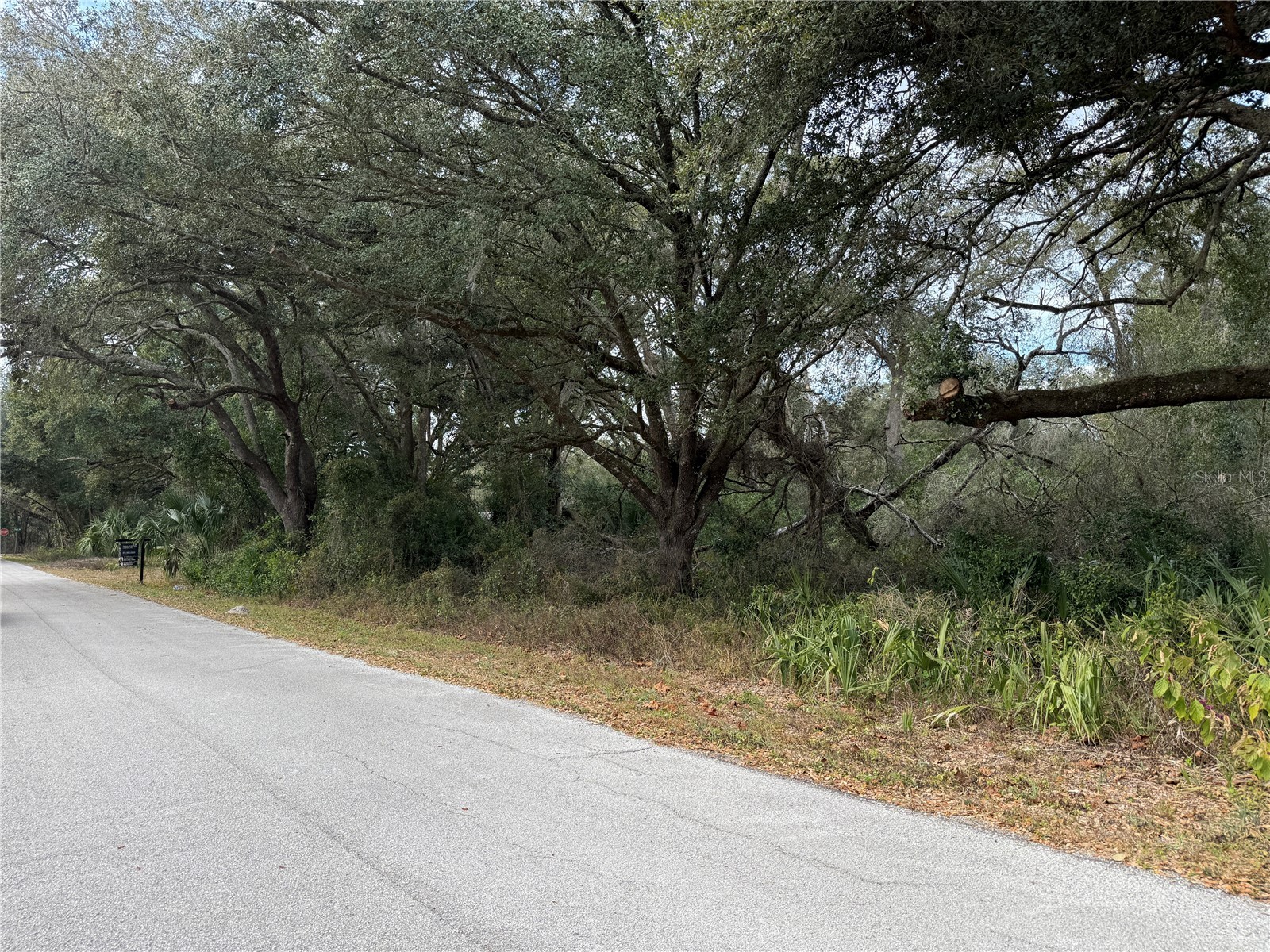 0 Hilda Rd Dade City FL 33523 TB8479212 image6