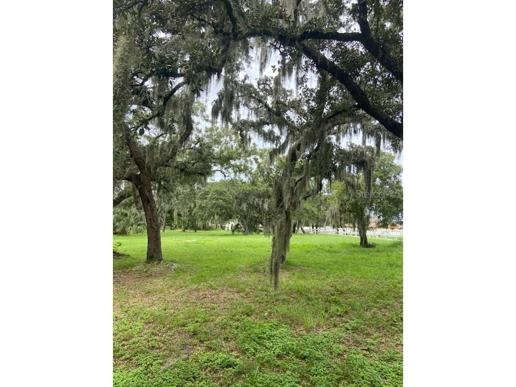 0 Hilltop Drive New Port Richey FL 34654 W7868266 image1