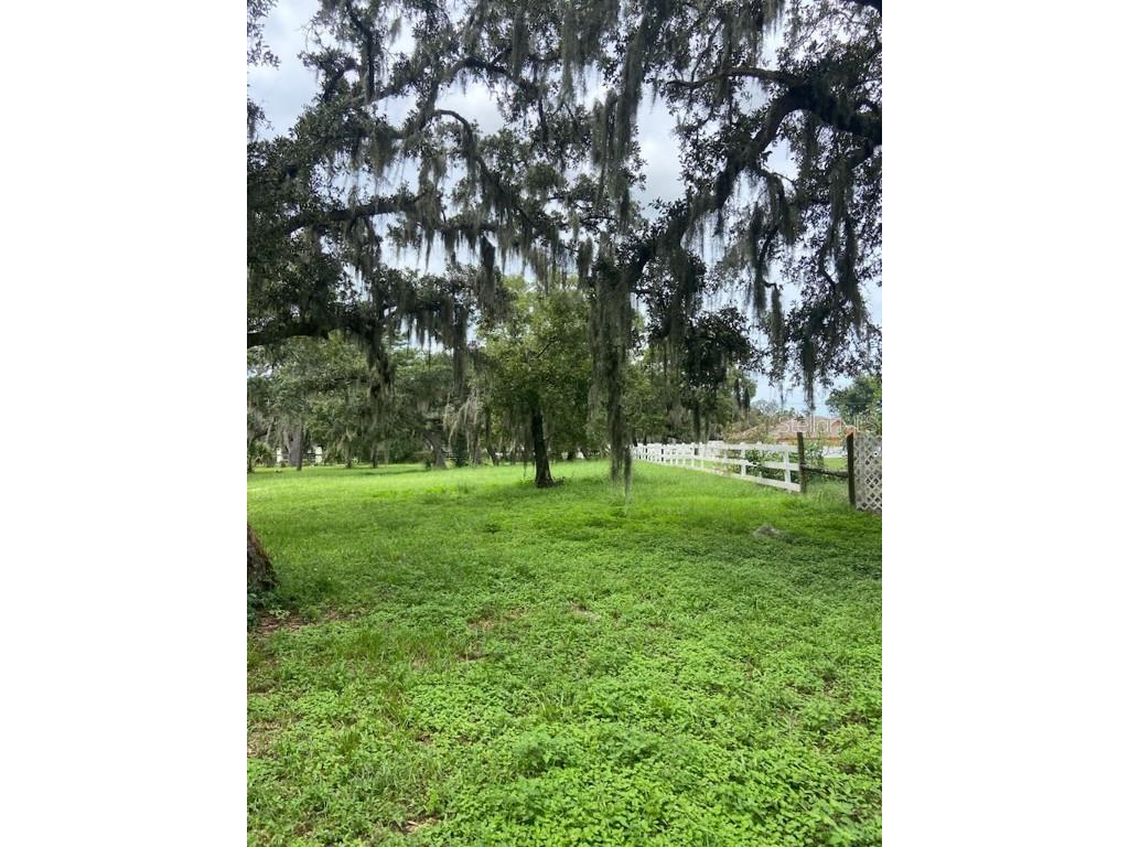 0 Hilltop Drive New Port Richey FL 34654 W7868266 image11