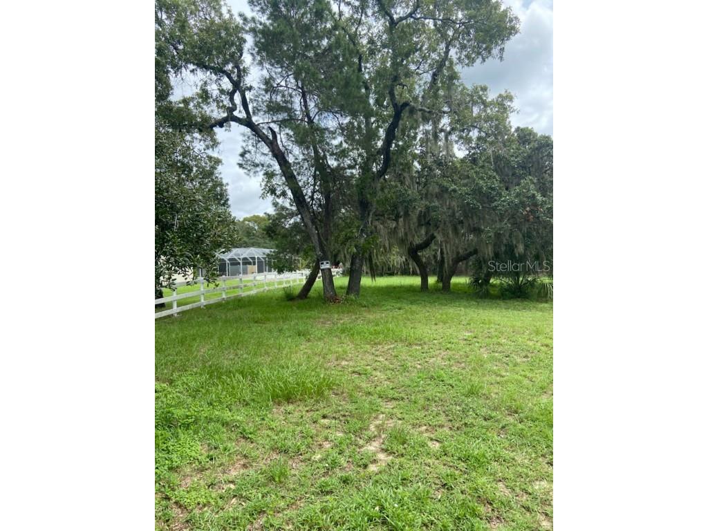0 Hilltop Drive New Port Richey FL 34654 W7868266 image5