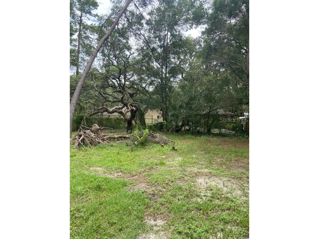 0 Hilltop Drive New Port Richey FL 34654 W7868266 image7