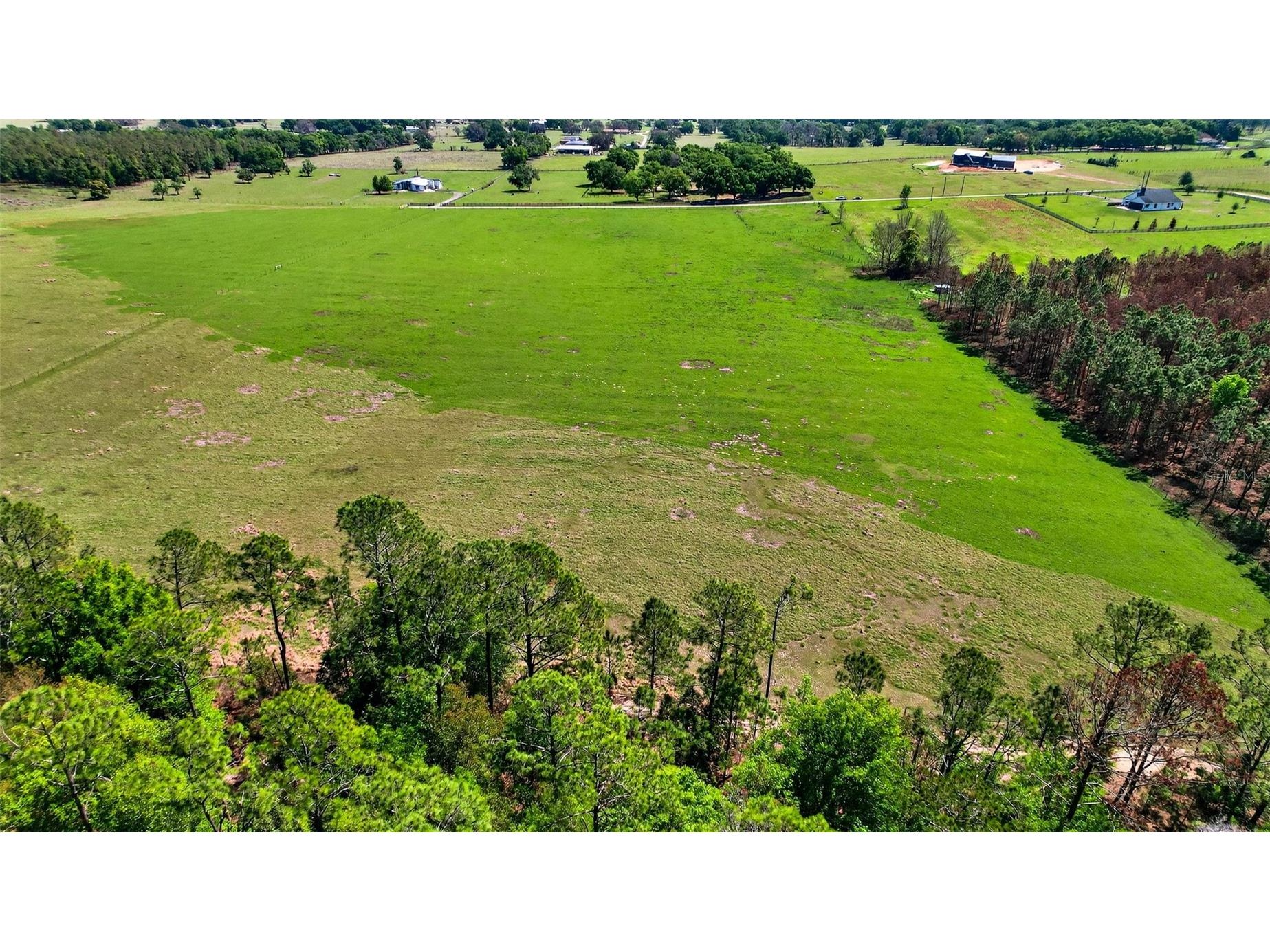0 Hilltop Horizons Place Dade City FL 33523 TB8491822 image10
