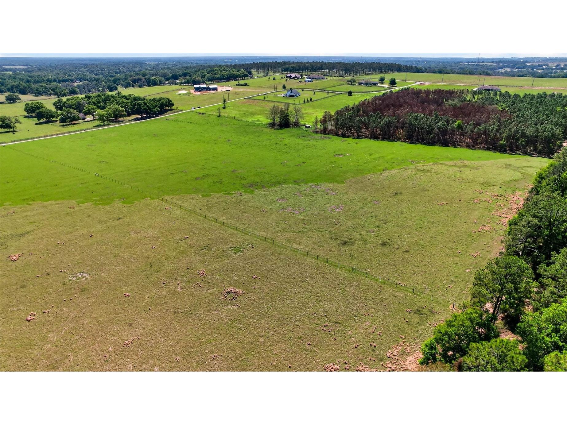 0 Hilltop Horizons Place Dade City FL 33523 TB8491822 image11