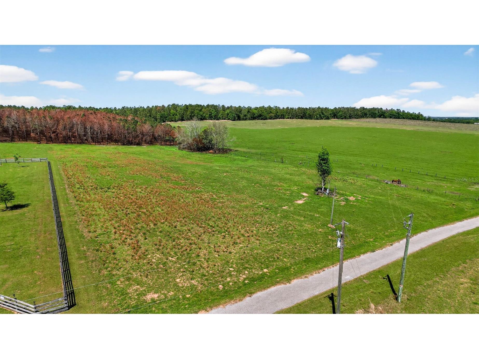 0 Hilltop Horizons Place Dade City FL 33523 TB8491822 image13