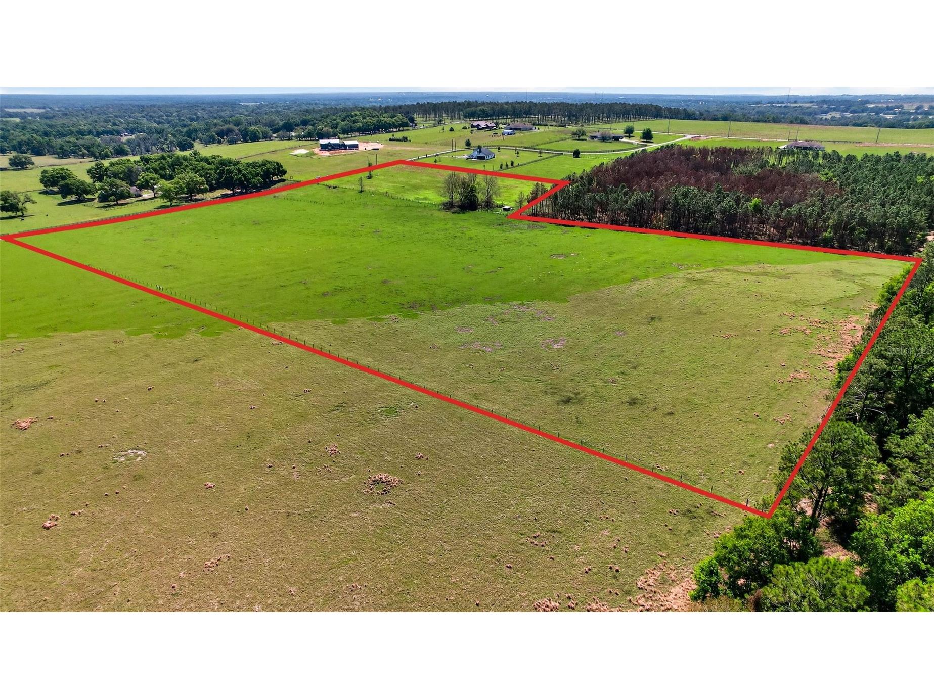 0 Hilltop Horizons Place Dade City FL 33523 TB8491822 image15