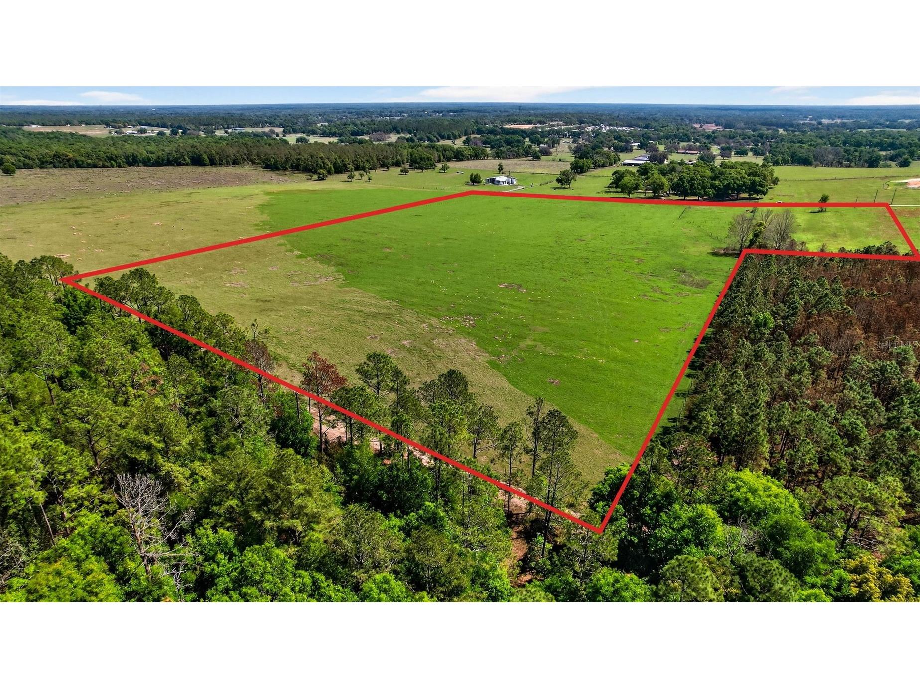 0 Hilltop Horizons Place Dade City FL 33523 TB8491822 image16