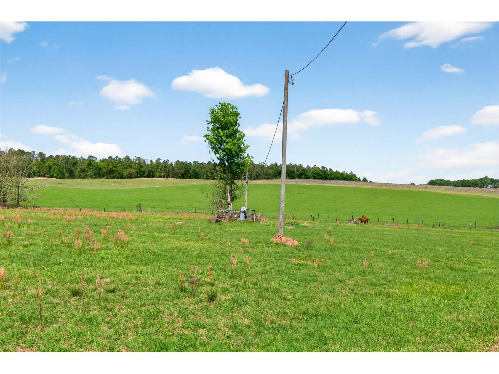0 Hilltop Horizons Place Dade City FL 33523 TB8491822 image25