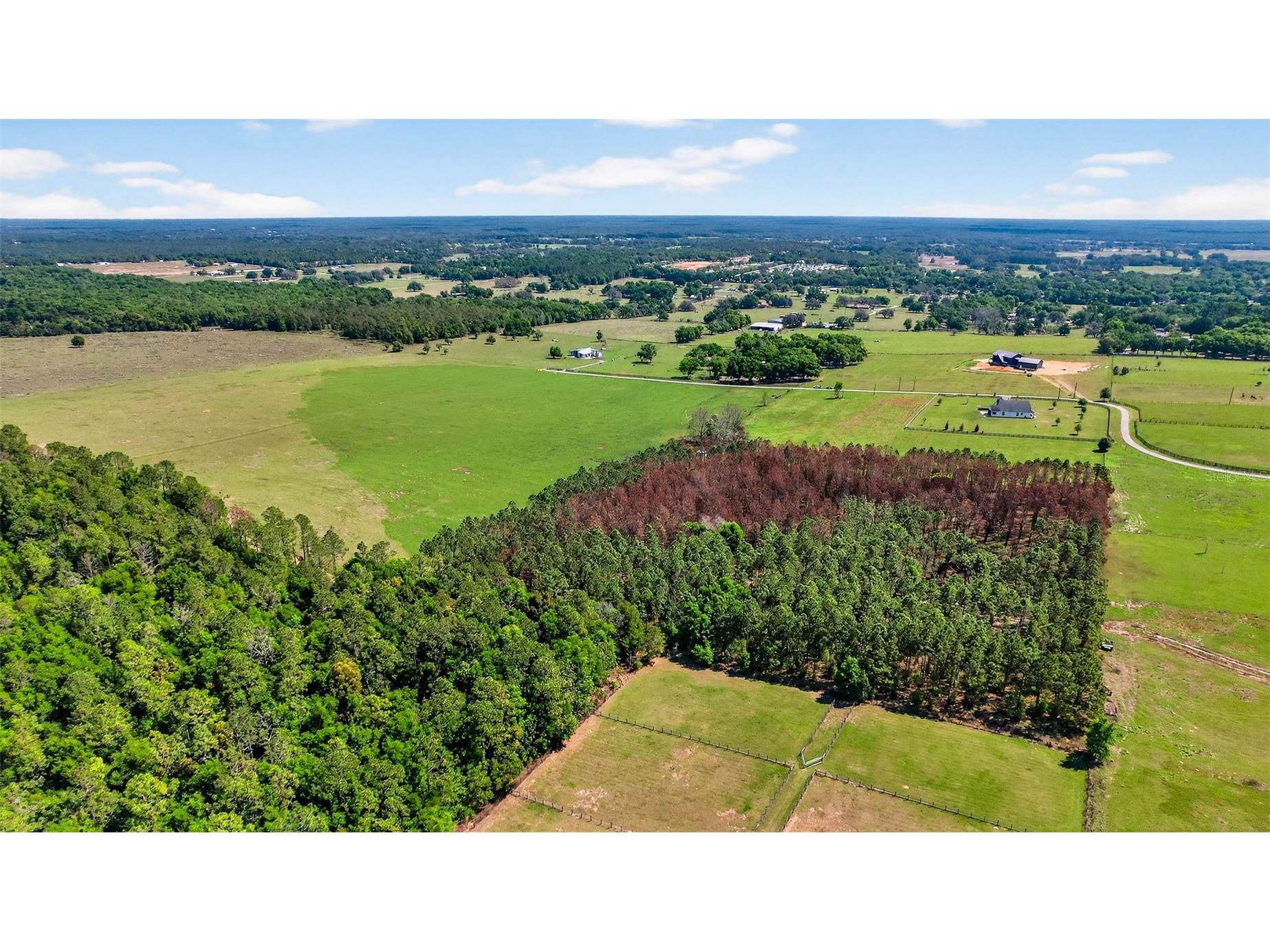 0 Hilltop Horizons Place Dade City FL 33523 TB8491822 image8