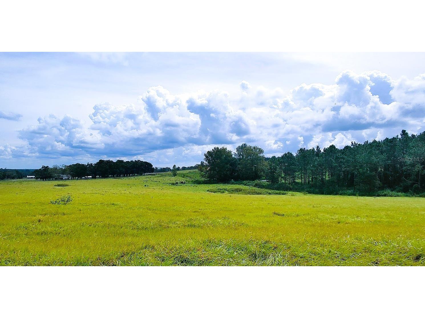 0 Hilltop Horizons Place Dade City FL 33525 TB8401617 image1