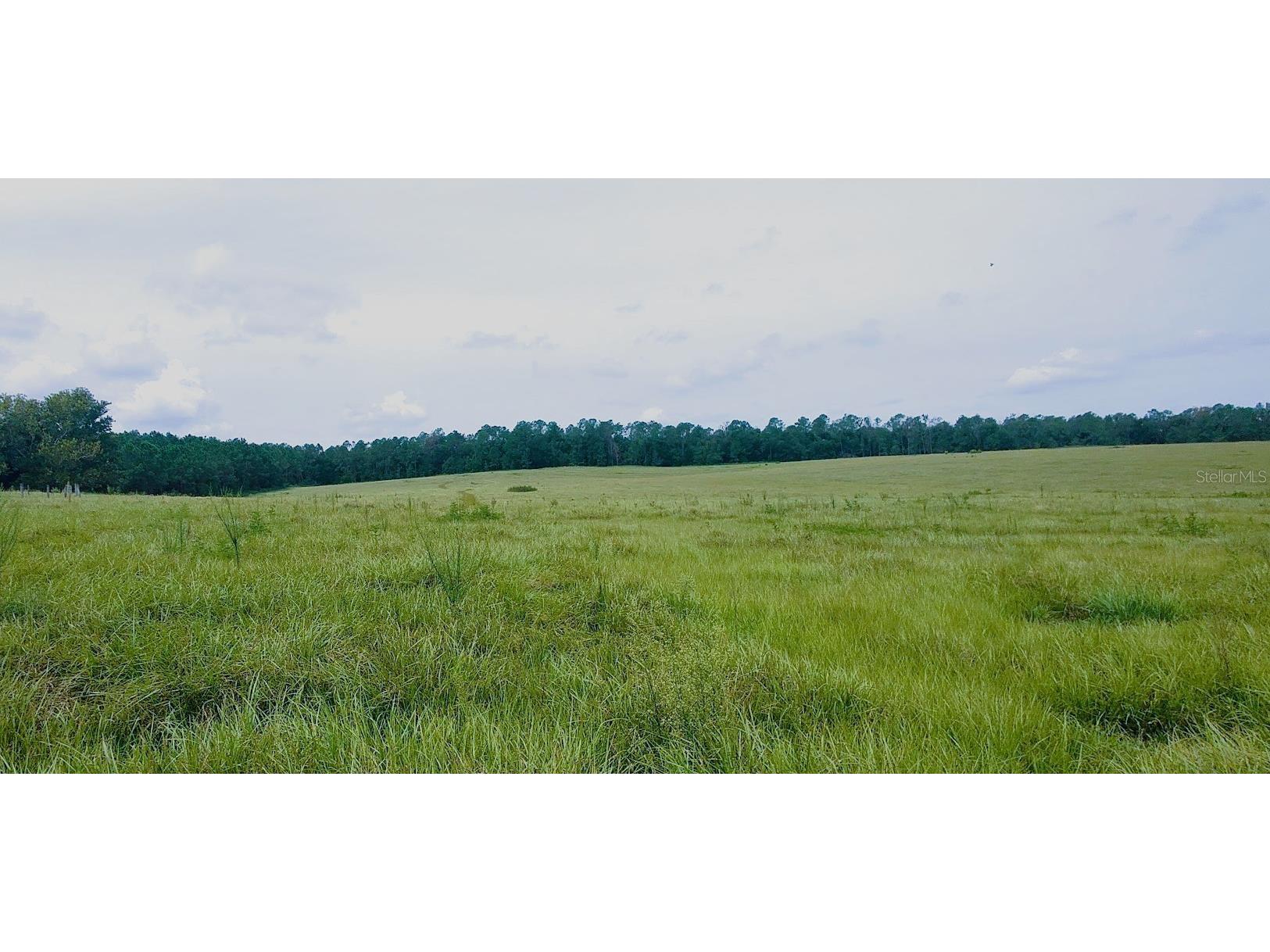 0 Hilltop Horizons Place Dade City FL 33525 TB8401617 image10