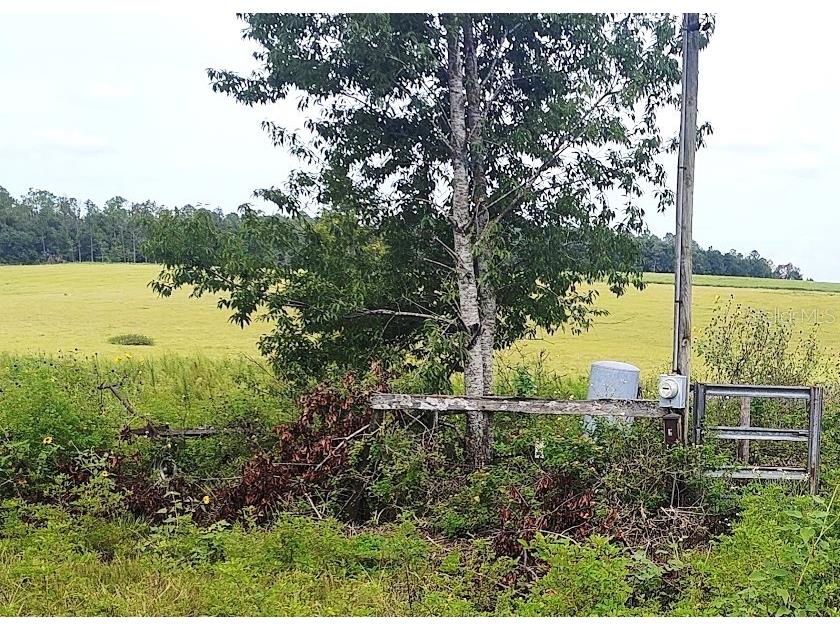 0 Hilltop Horizons Place Dade City FL 33525 TB8401617 image14