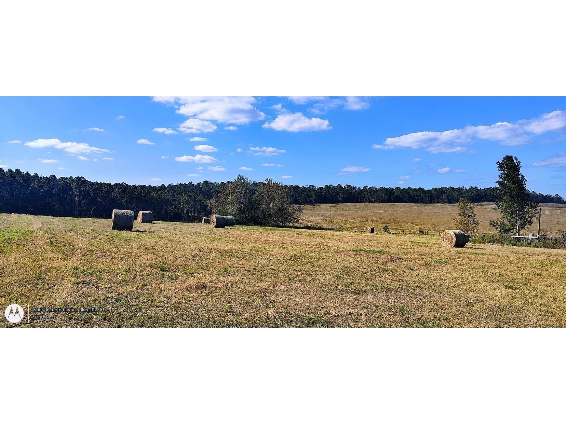 0 Hilltop Horizons Place Dade City FL 33525 TB8401617 image15