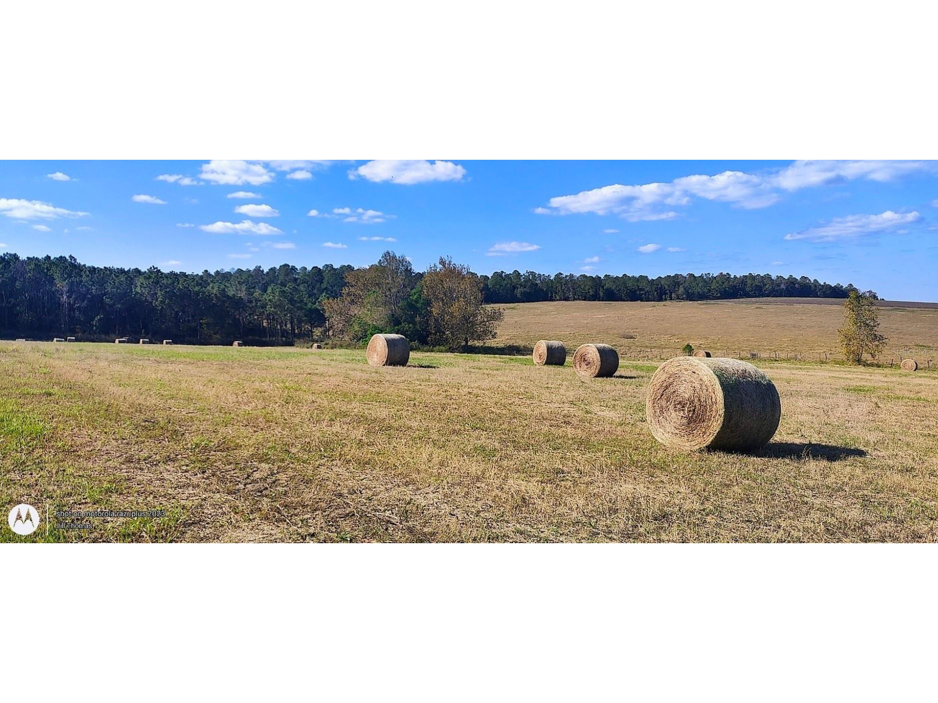 0 Hilltop Horizons Place Dade City FL 33525 TB8401617 image16